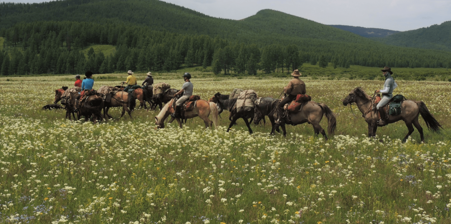 Horseback Riding Through the Rolling Hills of the Khentii Mountains
